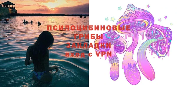 СК Алексин