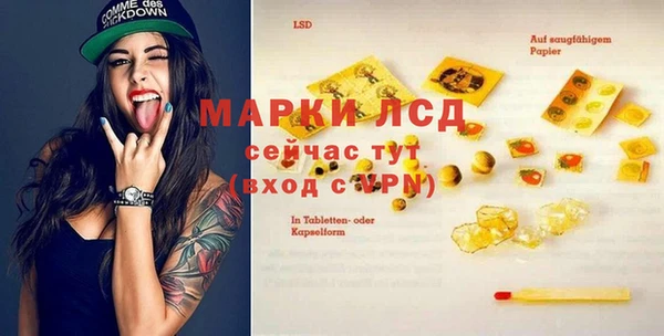 СК Алексин